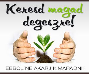kmd_300x250.jpg